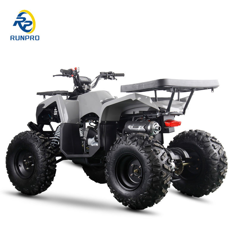 200cc10インチ スチールホイール 2WDATVオフロード 四輪バイク UTV農場 モータークワッドバイク