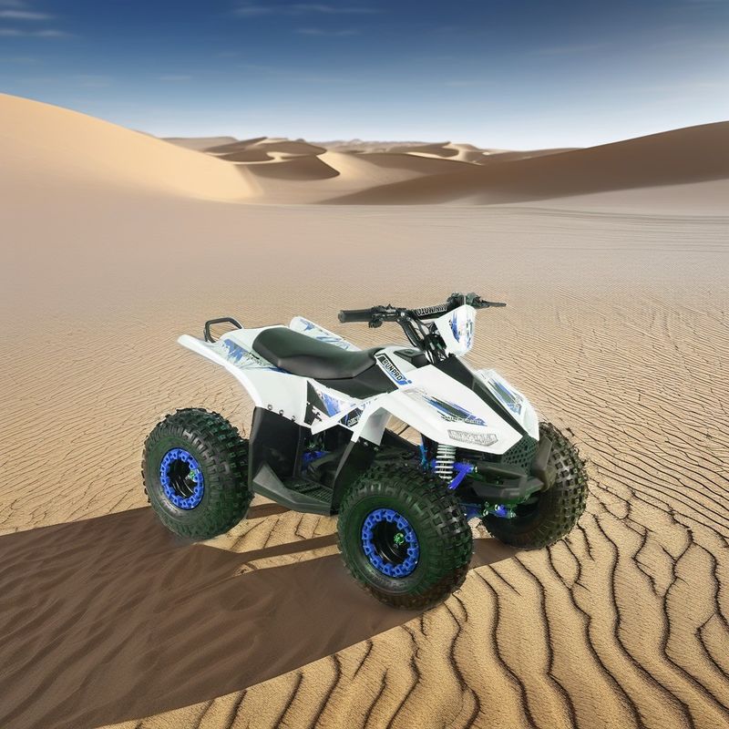 48V12AH鉛酸蓄電池 RUNPRO 1200W 軸駆動モーター 農業用電気4輪ATV